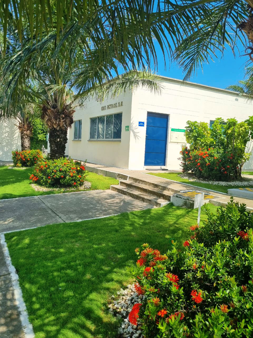 Renovación de césped en Petroil S.A